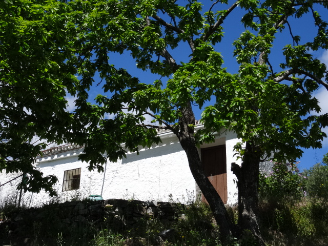 Main Photo of a 3 bedroom  Finca for sale